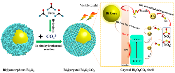 Bi@Bi2O2CO3核殼結(jié)構(gòu)光催化降解NOx反應機理圖.png