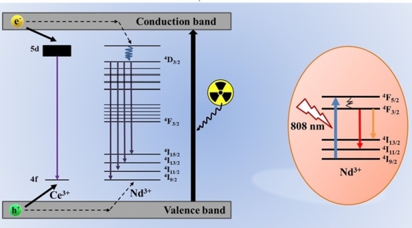 NaLuF4:Ce3+, Nd3+在X射線和808 nm激光激發(fā)下的UV和NIR-II發(fā)射機(jī)理和能量傳遞機(jī)制