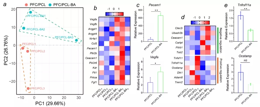Bulk-RNA-Seq及RT-PCR進(jìn)一步驗證纖維支架調(diào)節(jié)血管化及破骨分化
