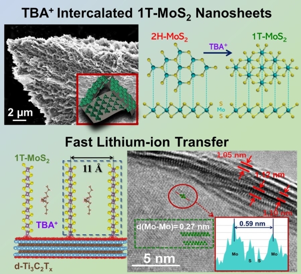 T-MoS2/d-Ti3C2Tx二維復(fù)合納米材料結(jié)構(gòu)示意圖