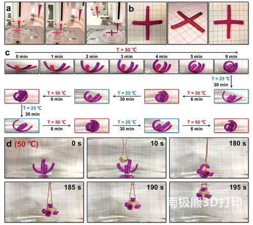 四臂花形PNIPA/PAA雙層結(jié)構(gòu)致動(dòng)器的熱響應(yīng)開/關(guān)及其作為機(jī)械手的潛力