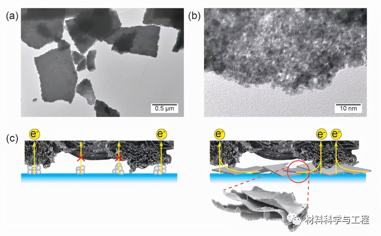 a，b)Ni95Ir5前驅(qū)體合金脫合金化形成的npIrx-NS的透射電子顯微鏡(TEM)照片