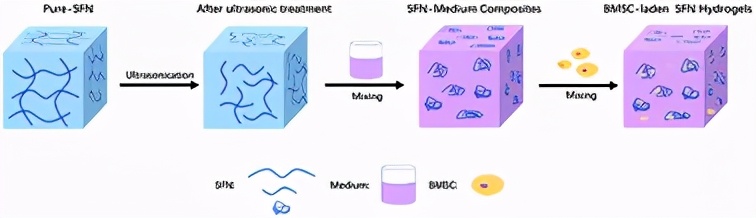 蘇州大學(xué)：可注射的絲納米纖維水凝膠作為干細(xì)胞載體加速傷口愈合