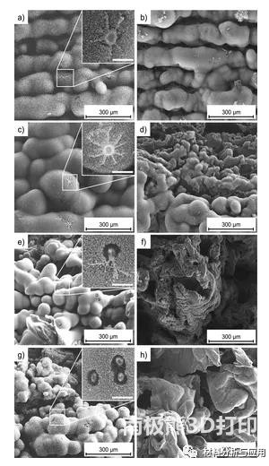 圖3.在3D打印的 PEI 基板上的石墨烯 低倍率 SEM 圖像