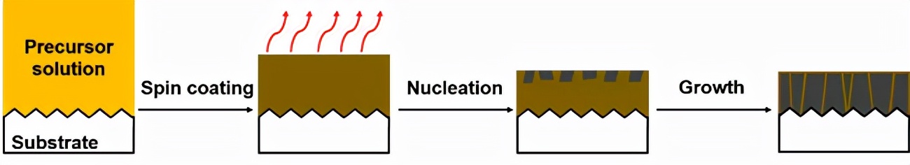 調(diào)控錫基鈣鈦礦的結(jié)晶動力學制備高效綠色太陽能電池