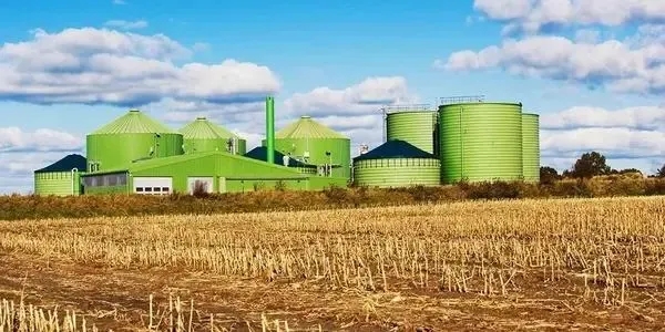 生物質(zhì)能推動構(gòu)建清潔能源體系