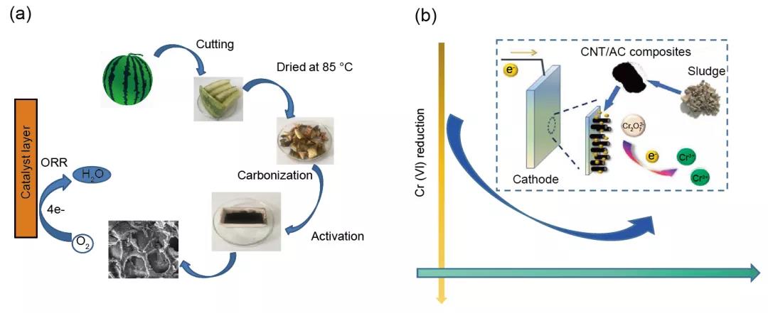 生物炭作為氧還原反應(yīng)電催化劑在微生物燃料電池中的可持續(xù)性應(yīng)用