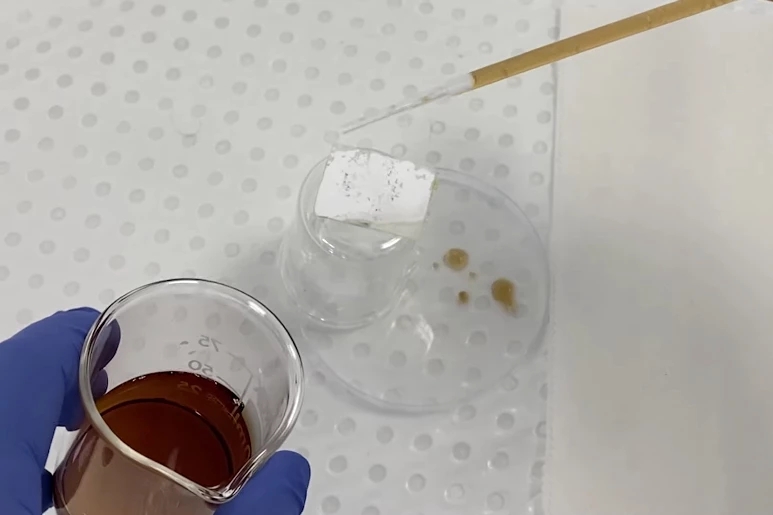 受荷葉啟發(fā) 科學(xué)家開發(fā)可在土壤中生物降解的疏水生物塑料