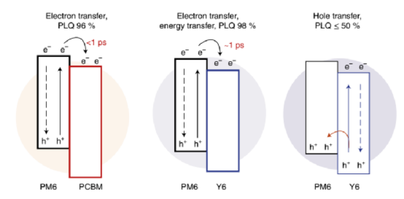 圖4. 有機(jī)納米粒子中的激子淬滅、電子/能量轉(zhuǎn)移