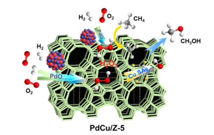 Angew：PdCu/沸石上甲烷選擇性氧化制含氧化合物的串聯(lián)催化