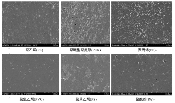 條件改良后海洋真菌Alternaria alternata FB1對(duì)多種塑料均有明顯降解效果(1個(gè)月) 