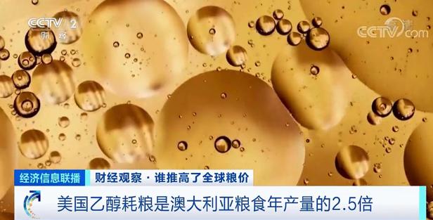 美國、巴西、歐盟3億噸糧食變燃料