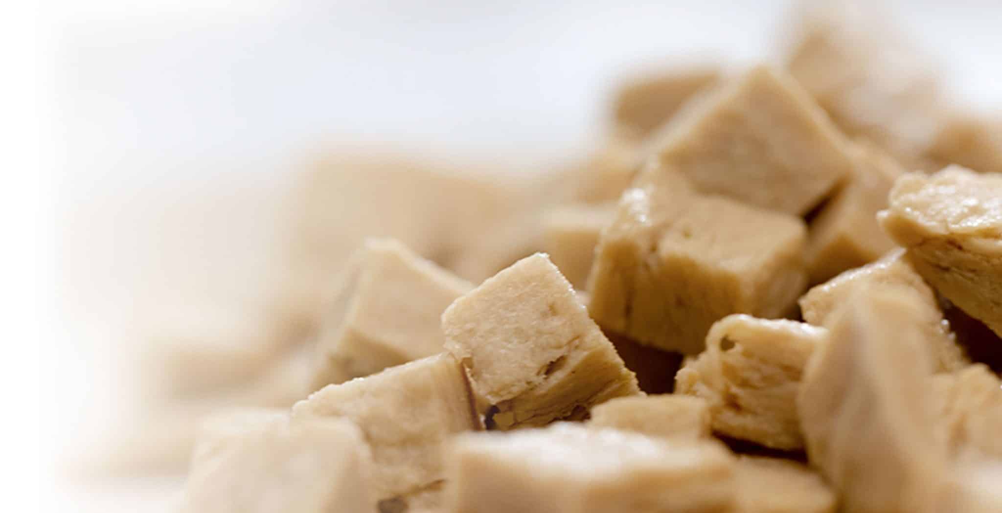 Mycorena 和 Revo Foods 為素食海鮮替代品開發(fā)的3D打印真菌蛋白