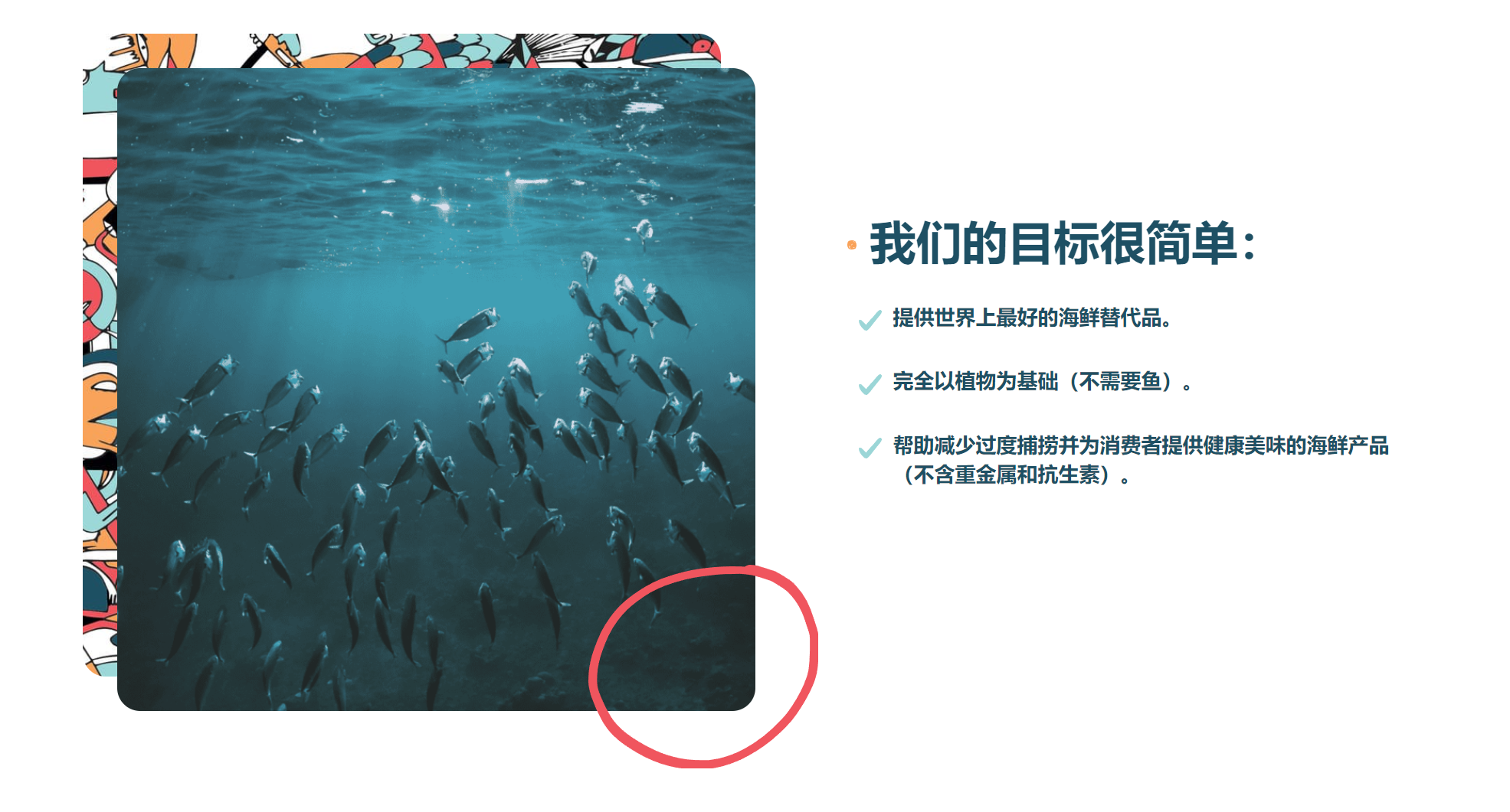 Mycorena和Revo Foods合作：開發(fā)出可3D打印的真菌蛋白,生產(chǎn)素食海鮮替代品