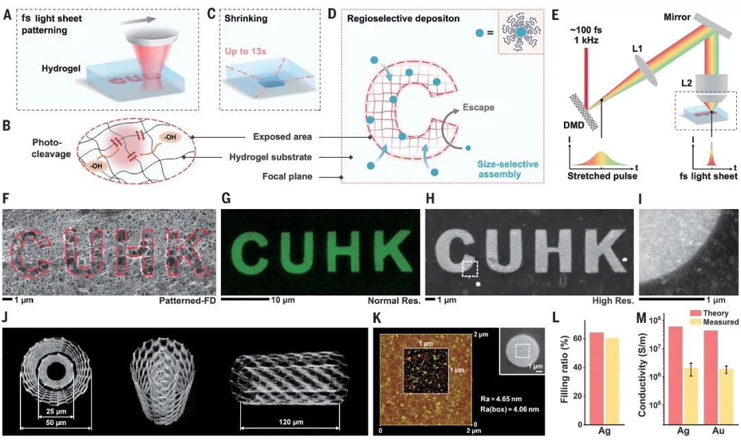 Science：水凝膠作模板！超快、超高分辨率的3D納米制造